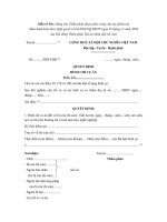 mau so 04c quyet dinh dinh chi vu an