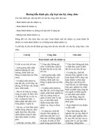 huong dan danh gia xep loai can bo cong chuc