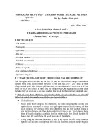 mau bao cao thanh tich ca nhan giao vien chu nhiem gioi