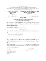 mau quyet dinh thanh lap doan dieu tra tai nan lao dong hang hai