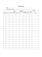 mau nhat ky ban hang tieng anh