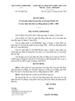 Quyết định số 381 QĐ-TTG - Về việc phê chuẩn kết quả bầu cử bổ sung Thành viên Ủy ban nhân dân tỉnh Cao Bằng nhiệm kỳ 2004 - 2011