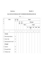 mau bao cao thu chi phi hang du tru