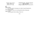 Đề kiểm tra định kỳ môn Công nghệ 11 HKII năm học 2016-2017