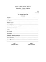 mau giay bao tu tieng anh