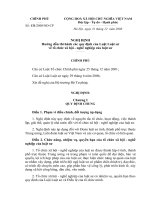 Nghị định số 131 2008 NĐ-CP - Hướng dẫn thi hành các quy định của Luật Luật sư về tổ chức xã hội - nghề nghiệp của luật sư