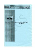 4 SJCS Bao cao thuong nien nam 2013