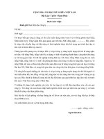 mau don xin viec vi tri phien dich vien