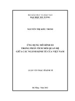 Ứng dụng mô hình IO trong phân tích mối quan hệ giữa các ngành kinh tế của Việt Nam.