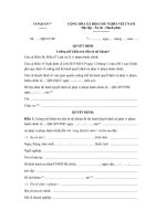 mau quyet dinh cuong che khau tru tien tu tai khoan