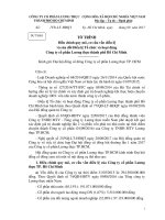 Tài liệu họp Đại hội đồng cổ đông bất thường lần 01 năm 2017 TT giảm vốn điều lệ