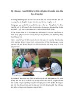 bo giao duc chua thi diem bo bien che giao vien mam non tieu hoc trung hoc