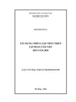 Xây dựng chiến lược phát triển tập đoàn Tâm Việt đến năm 2020