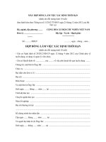 mau hop dong lam viec xac dinh thoi han danh cho sinh vien