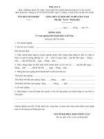 mau thong bao tam ngung kinh doanh dich vu ke toan