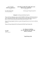 Công văn 2405 TCHQ-TXNK - Xóa nợ tiền phạt chậm nộp