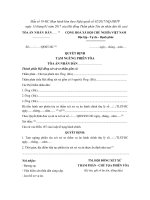 mau so 19 hc quyet dinh tam ngung phien toa vu an hanh chinh