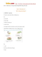 giai bai tap sbt tieng anh lop 4 chuong trinh moi unit 11 what time is it