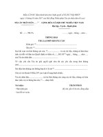 mau so 28 hc thong bao tra lai don khang cao vu an hanh chinh