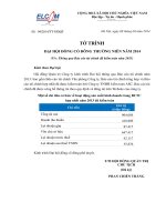 (04)_To trinh thong qua BCTC da kiem toan 2013