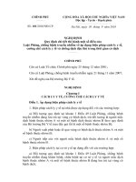 Nghị định số 101 2010 NĐ-CP - Quy định thi hành một số điều của Luật Phòng, chống bệnh truyền nhiễm về áp dụng biện pháp cách ly y tế, cưỡng chế cách ly y tế
