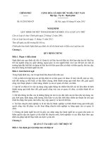 Nghị định 01 2013 NĐ-CP quy định  thi hành một số điều của Luật lưu trữ