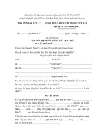 mau quyet dinh thay doi bien phap khan cap tam thoi