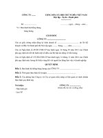 mau quyet dinh ban hanh he thong thang bang luong cua doanh nghiep