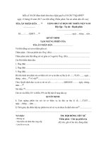 mau so 50 ds quyet dinh tam ngung phien toa