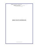 mau bao cao tu danh gia truong mam non