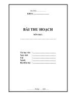 mau bia bai thu hoach