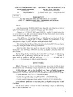 Tài liệu họp Đại hội đồng cổ đông bất thường lần 01 năm 2017 Nghị quyết Dự thảo