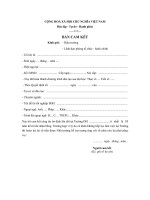 mau ban cam ket lam viec dai han sau dao tao