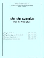 Báo cáo tài chính Quý III năm 2016 BCTC Quy III 2016