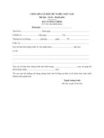 mau ban tuong trinh su viec danh nhau