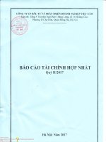 BCTC hop nhat quy II 2017