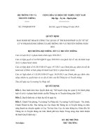 quyet dinh 279 qd btttt quan ly thi hanh phap luat ve xu ly vi pham hanh chinh