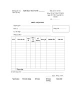 mau so c6 11 ns phieu nhap kho