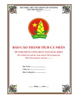 mau bao cao thanh tich cua tong phu trach de nghi tang bang khen
