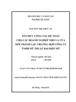 Tổ chức công tác kế toán cho các doanh nghiệp nhỏ và vừa mới thành lập trường hợp công ty TNHH mỹ thuật Đại Hiệp Mỹ