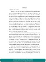 Thu hút vốn đầu tư trực tiếp nước ngoài (FDI) để phát triển ngành du lịch Tỉnh Khánh Hoà