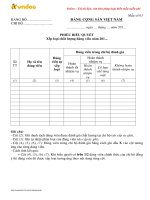 mau phieu bieu quyet xep loai chat luong dang vien