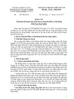 BÁO CÁO Tình hình kế hoạch thực hiện Dự án cống Đò Điểm và Hệ thống kênh trục sông Nghèn