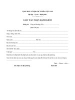 mau giay xac nhan hanh kiem