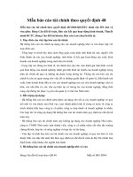 mau bao cao tai chinh theo quyet dinh 48