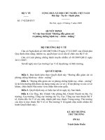 Quyết định số 1742 QĐ-BYT - Về việc ban hành “hướng dẫn giám sát và phòng chống bệnh tay - chân - miệng”