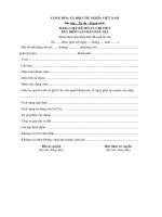 mau bang ke chi tiet tai san bat dong san dau gia