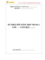 so theo doi tong hop thi dua cua lop truong