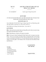 quyet dinh 1223 qd byt huong dan tam thoi cham soc phu nu mang thai trong boi canh dich benh do virut zika