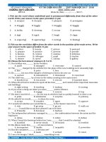 GIFTED STUDENTS TESTS (1) 